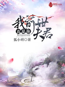 高轩过